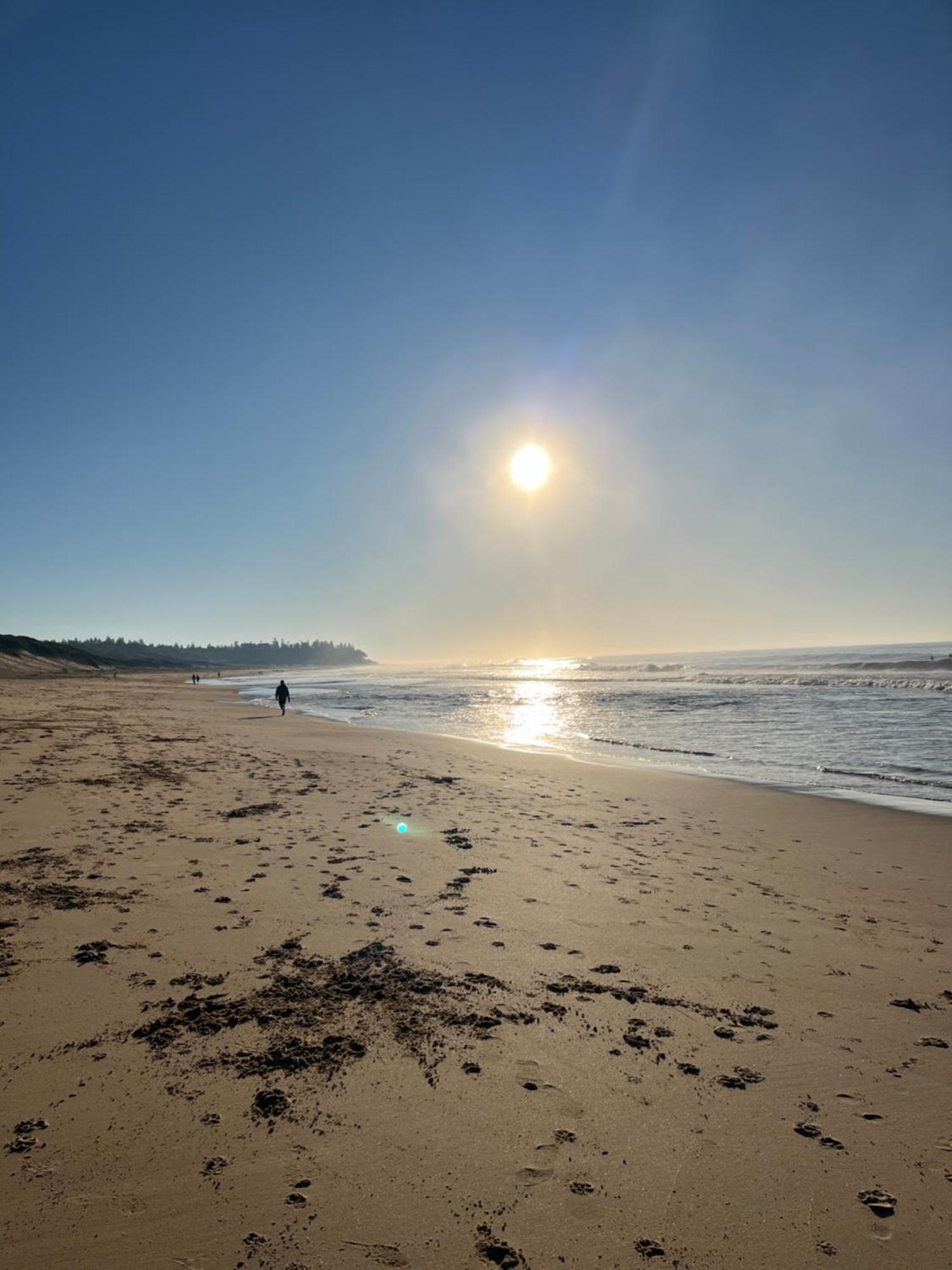 Blue Lagoon Beach Resort Bateau Bay Zewnętrze zdjęcie